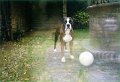 1998-04 - in giardino col pallone - 2
